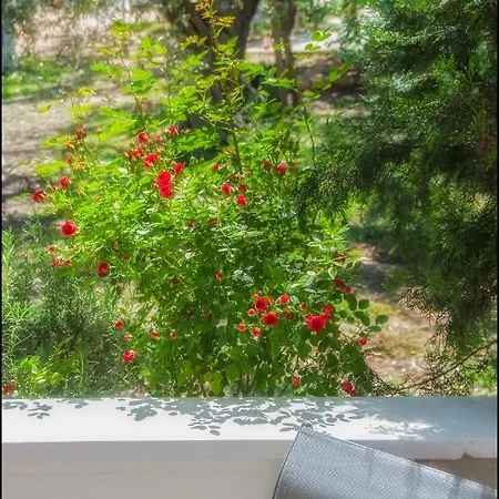 Vakantiehuis Sunray Separate Skala Sotiros