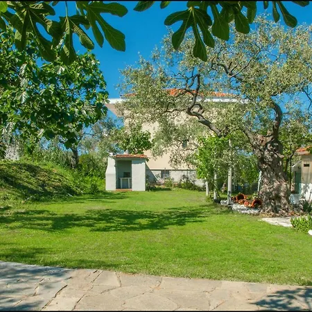 Vakantiehuis Sunray Separate *