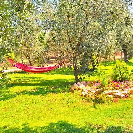 Vakantiehuis Sunray Separate