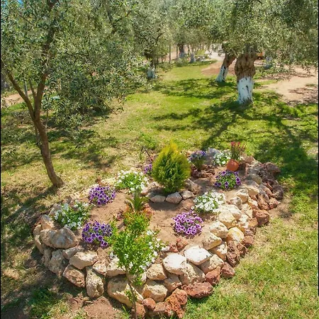 Sunray Separate Szkála Szotírosz