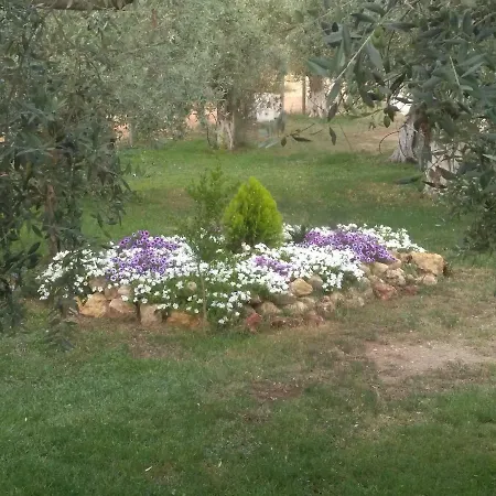 Casa vacanze Sunray Separate Skala Sotiros