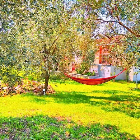 Tatil Evi Sunray Separate