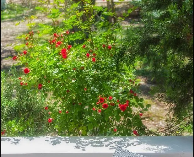 Ferienhaus Sunray Separate Skala Sotiros